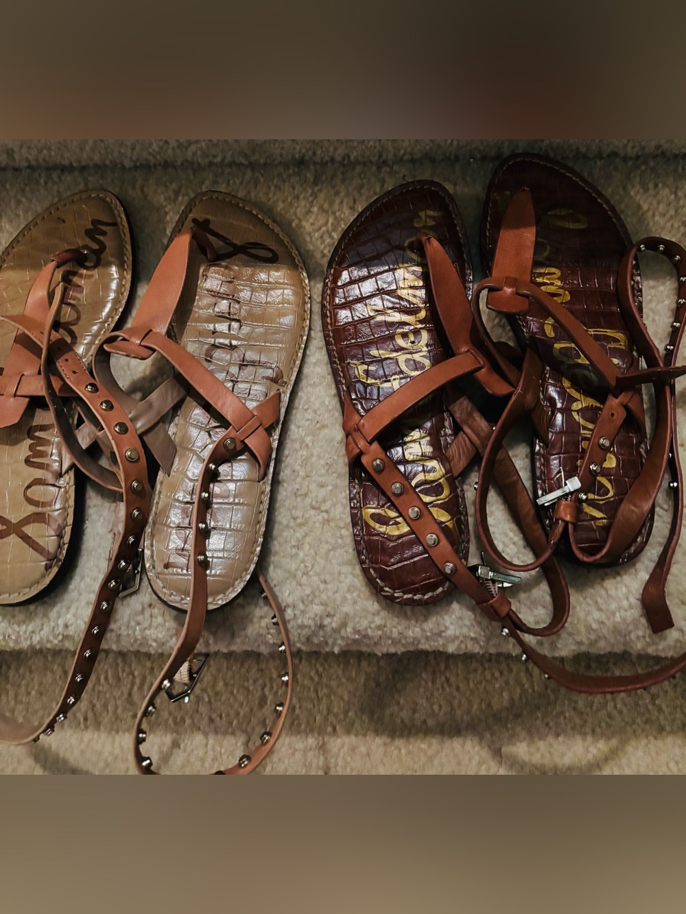 Sam Edelman Brown and Tan Leather Strappy Sandals with Stud Details Bundle